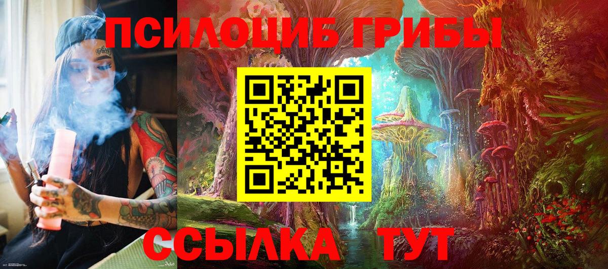 Партизанск  Псилоцибиновые грибы мухоморы  Вход с VPN 