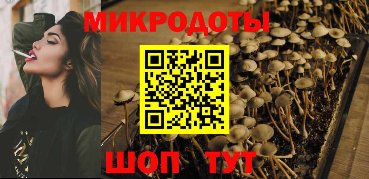 Галлюциногенные грибы мухоморы Партизанск